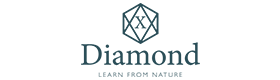 X-Diamond logo
